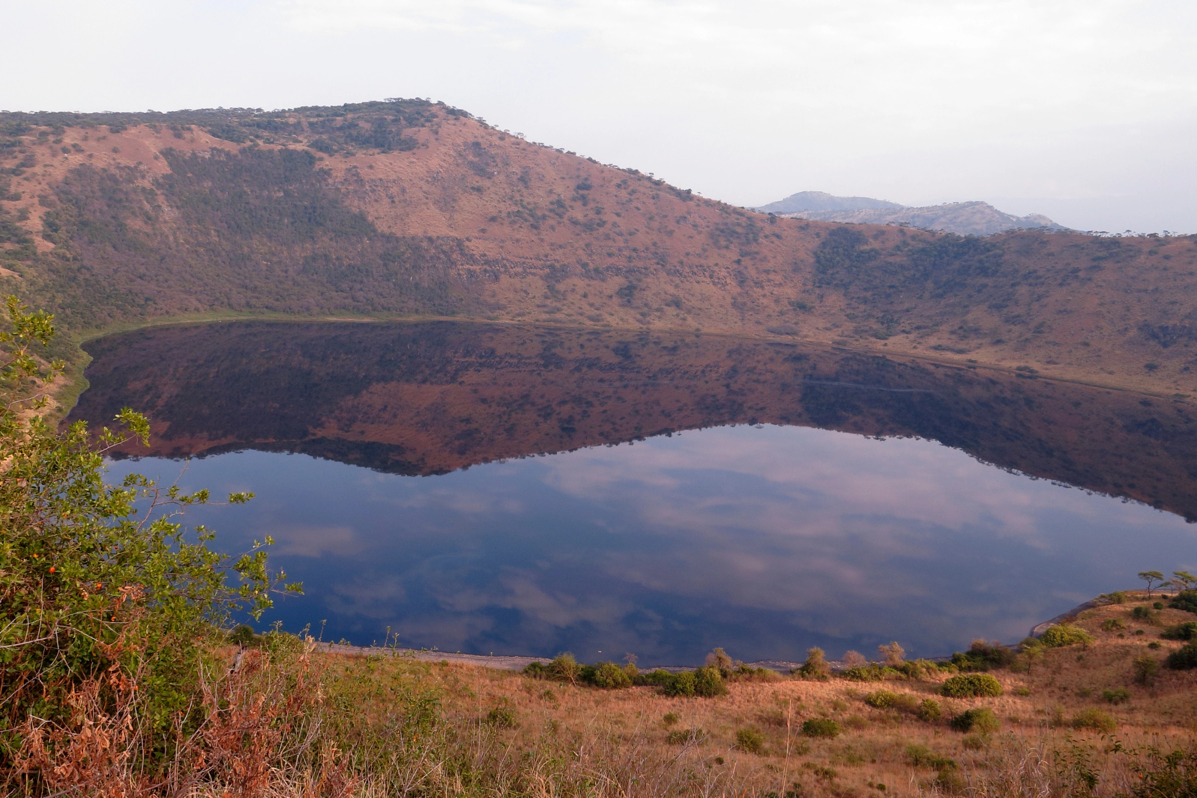Queen_Elizabeth_National_Park[1].webp